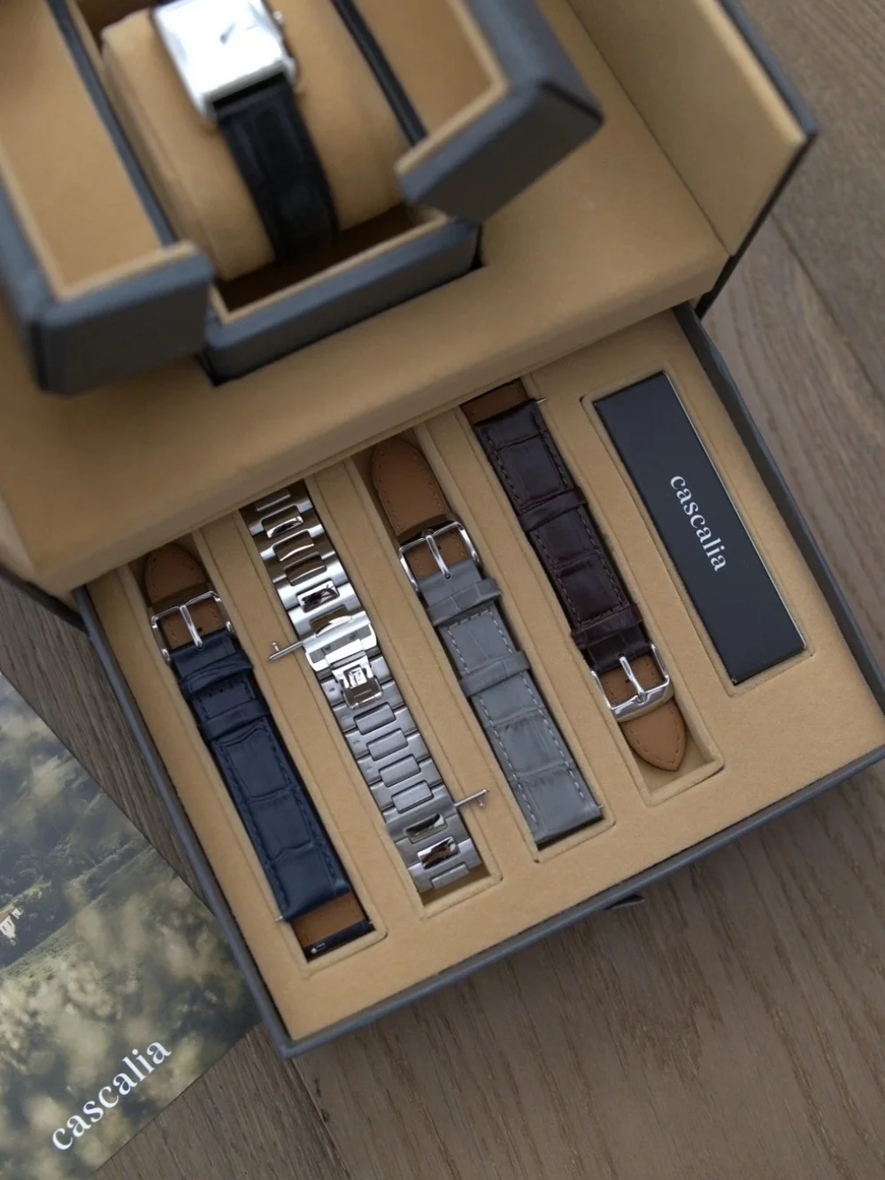 Cascalia Arco Steel Quartz Watch with Multiple Straps
